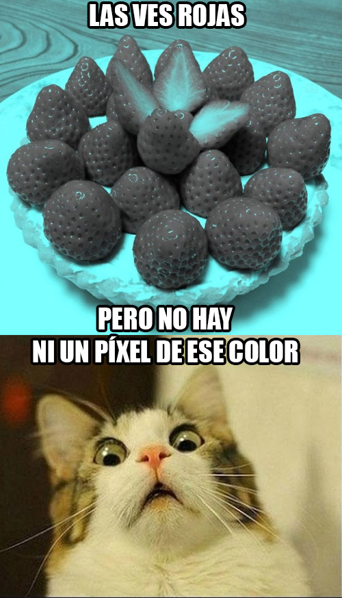 Meme_otros - Todo el mundo ve rojas estas fresas y nadie sabe porqué