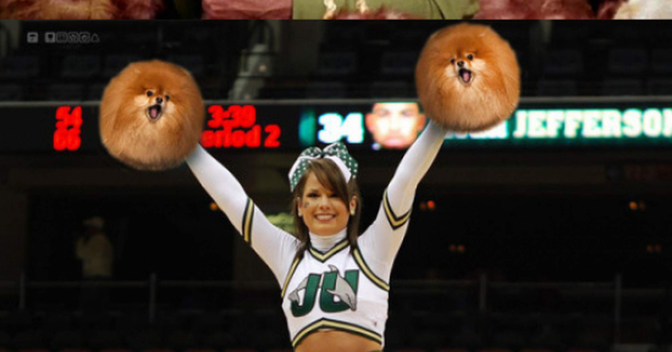 Cunto Cabrn La Bola De Pelo Perruna Que Inund Internet De Montajes