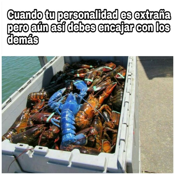 Meme_otros - A veces ser especial tiene sus complicaciones