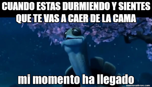 Mi_momento_ha_llegado - ¡Que me caigo!