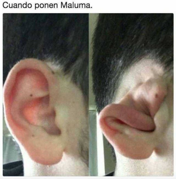 Cuanto Cabron No Quiero Escuchar Esa Porqueria Tu meme se ha subido con éxito y ya está en moderación. cuanto cabron no quiero escuchar esa