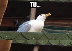 Enlace a Mítica escena