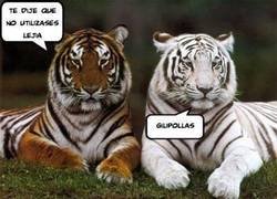 Enlace a Cállese señor