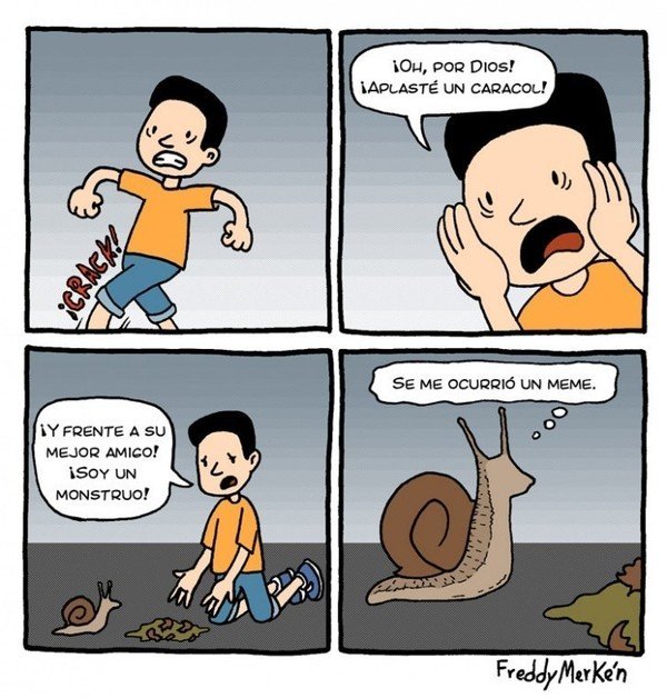 Me Kago De Risa Los Memes En La Vida Animal