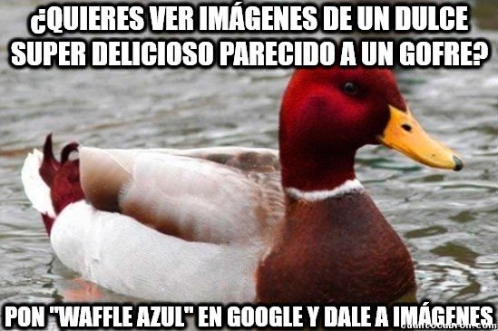 Cuanto Cabron Ese Gato Le Echo Condimento Al Arroz