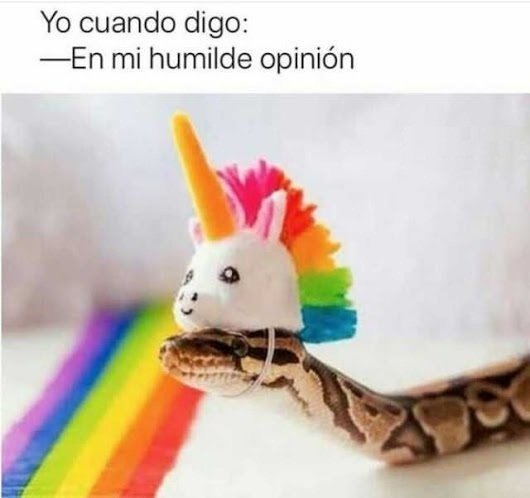 Cuanto Cabron Esa Frase Siempre Trae Un Plan Malevolo Detras