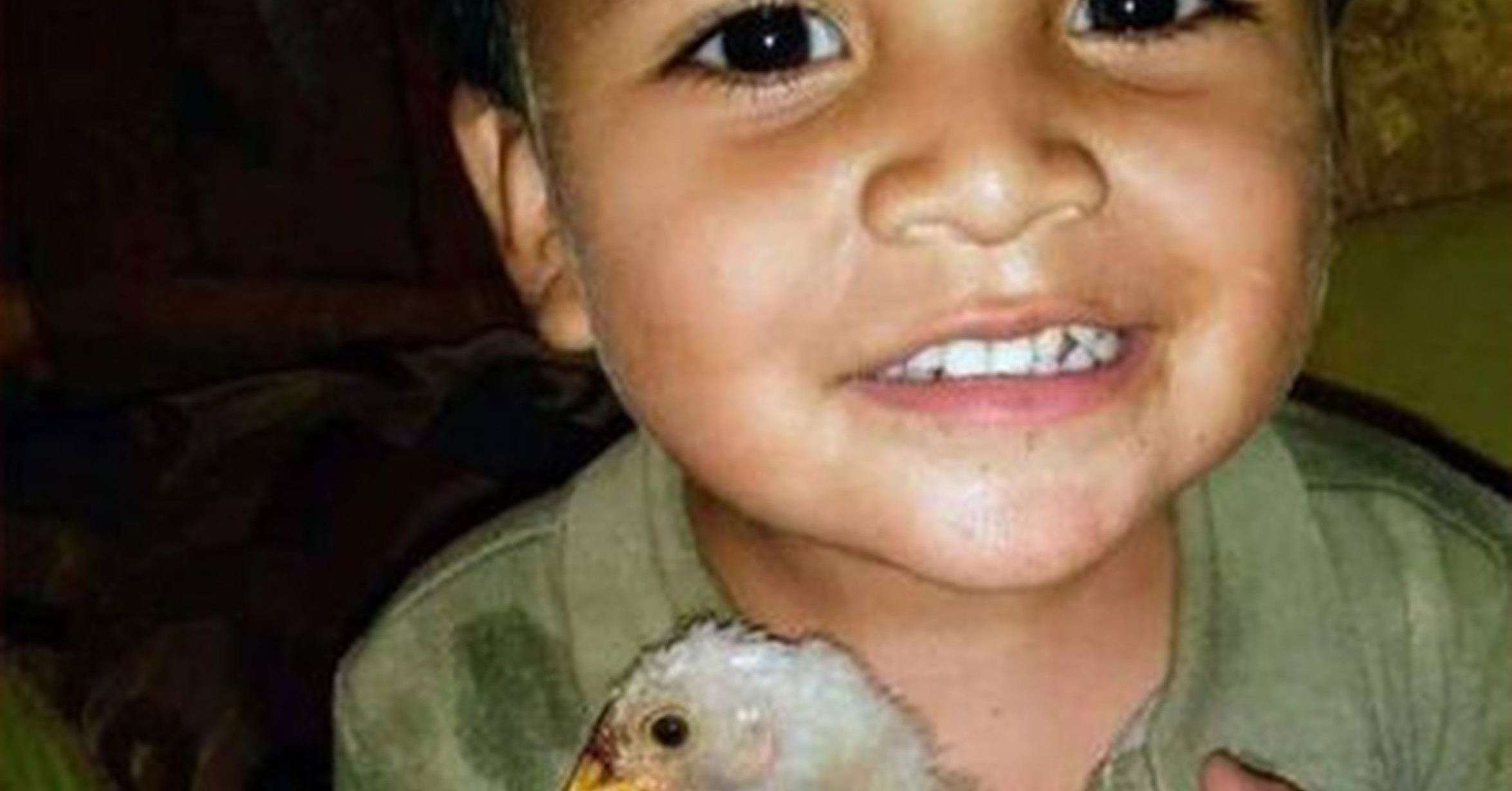 Cuánto cabrón / La triste historia de este niño y su pollo