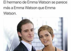 Enlace a Esto es perturbador