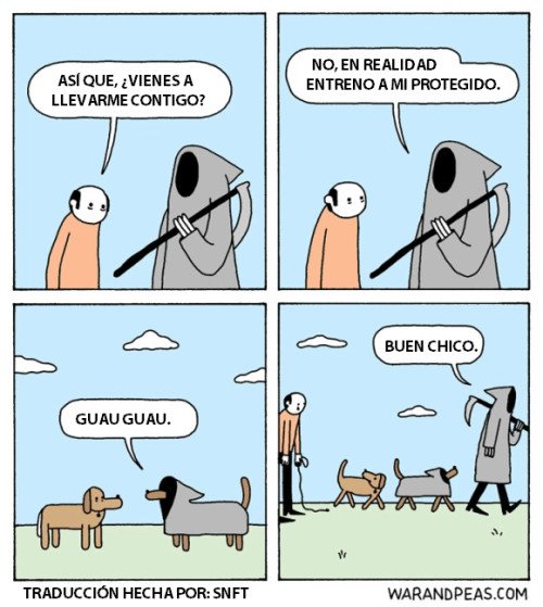 Otros - Llegó la hora de despedirse del mejor amigo