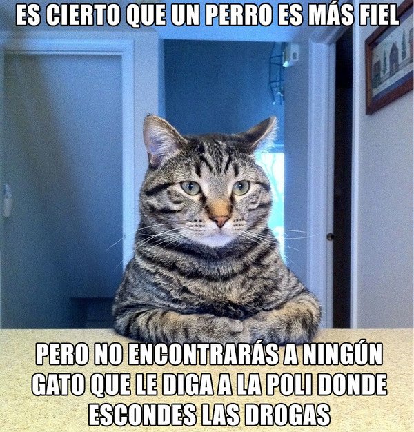 Meme_otros - Buen punto a favor