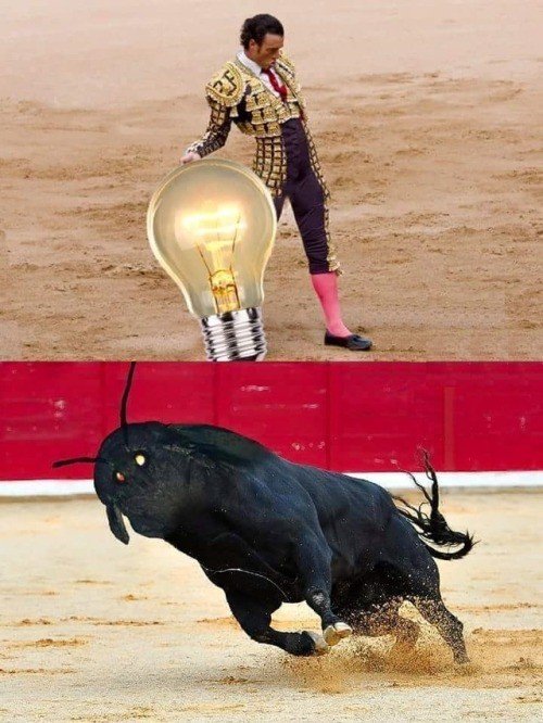 arte,bombilla,luz,polilla,toreo