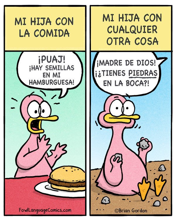 Otros - Ingredientes en la comida