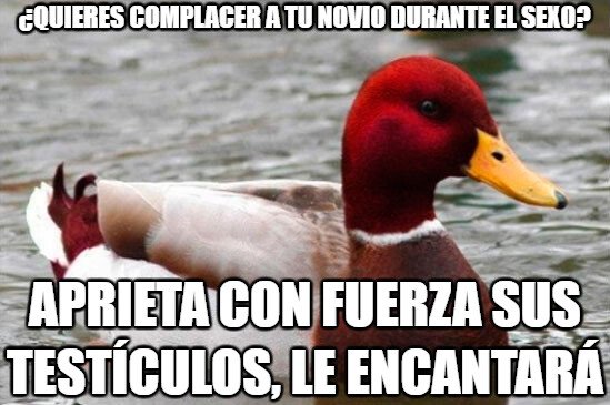 Pato_mal_consejero - Complacer al novio