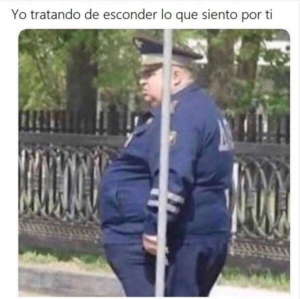 amor,estado sentimental,pareja