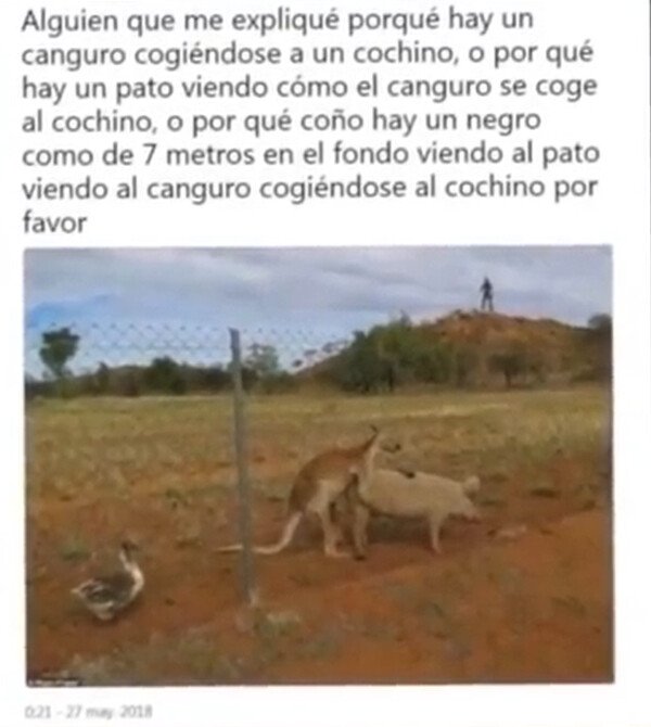 Bebe_borracho - Lo imposible se hizo posible