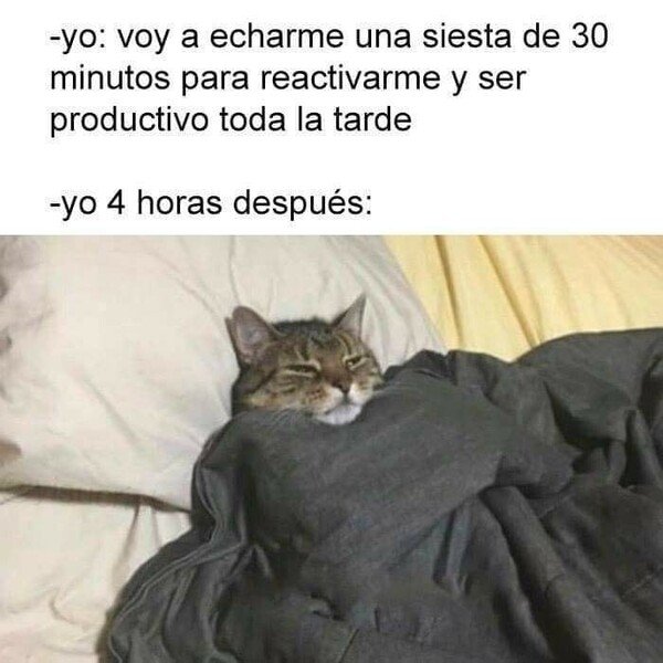 cama,dormir,siesta