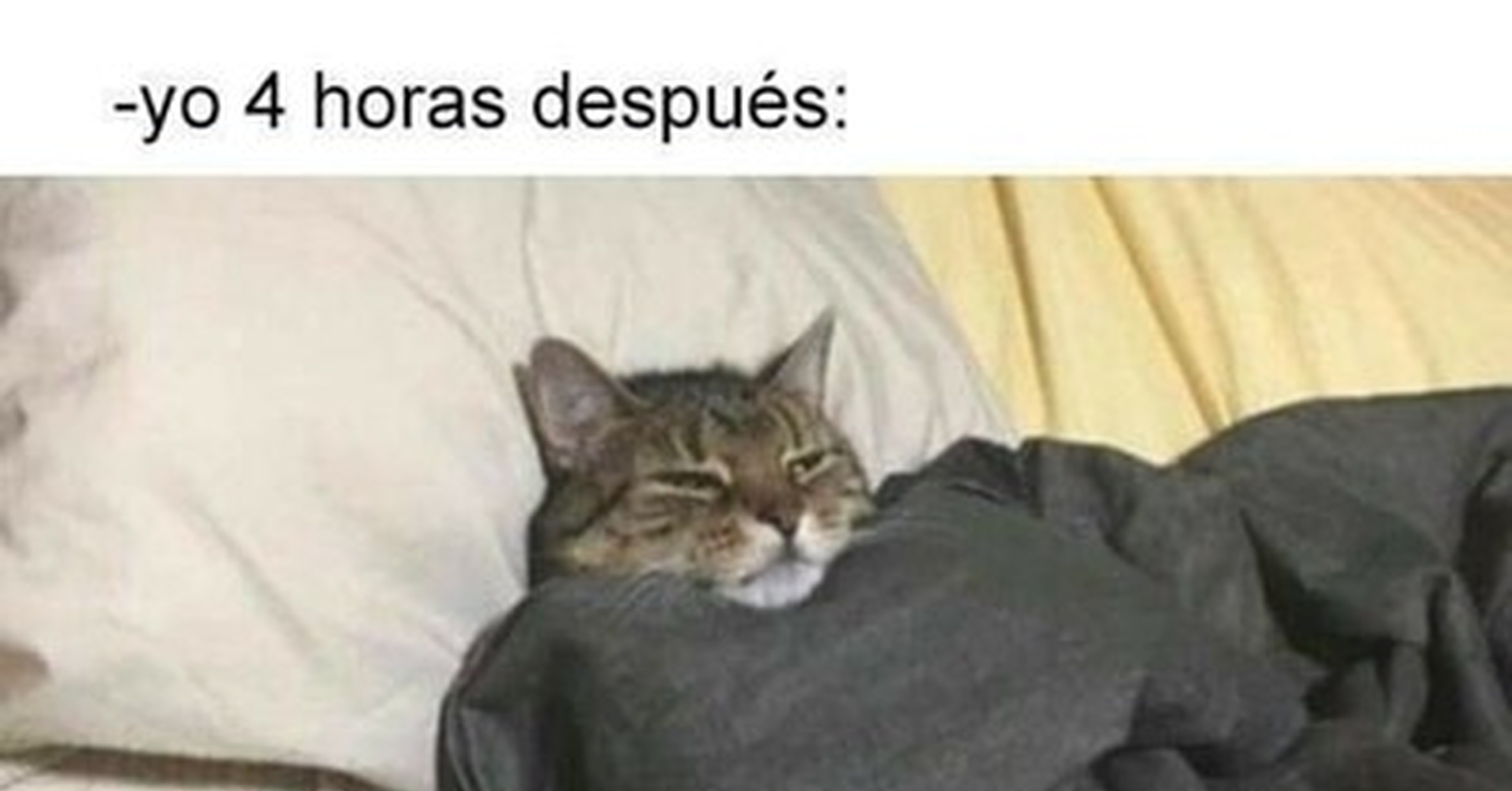 Cu nto cabr n en qu a o estamos 