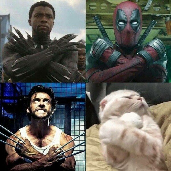 Meme_otros - Diferentes tipos de superhéroe