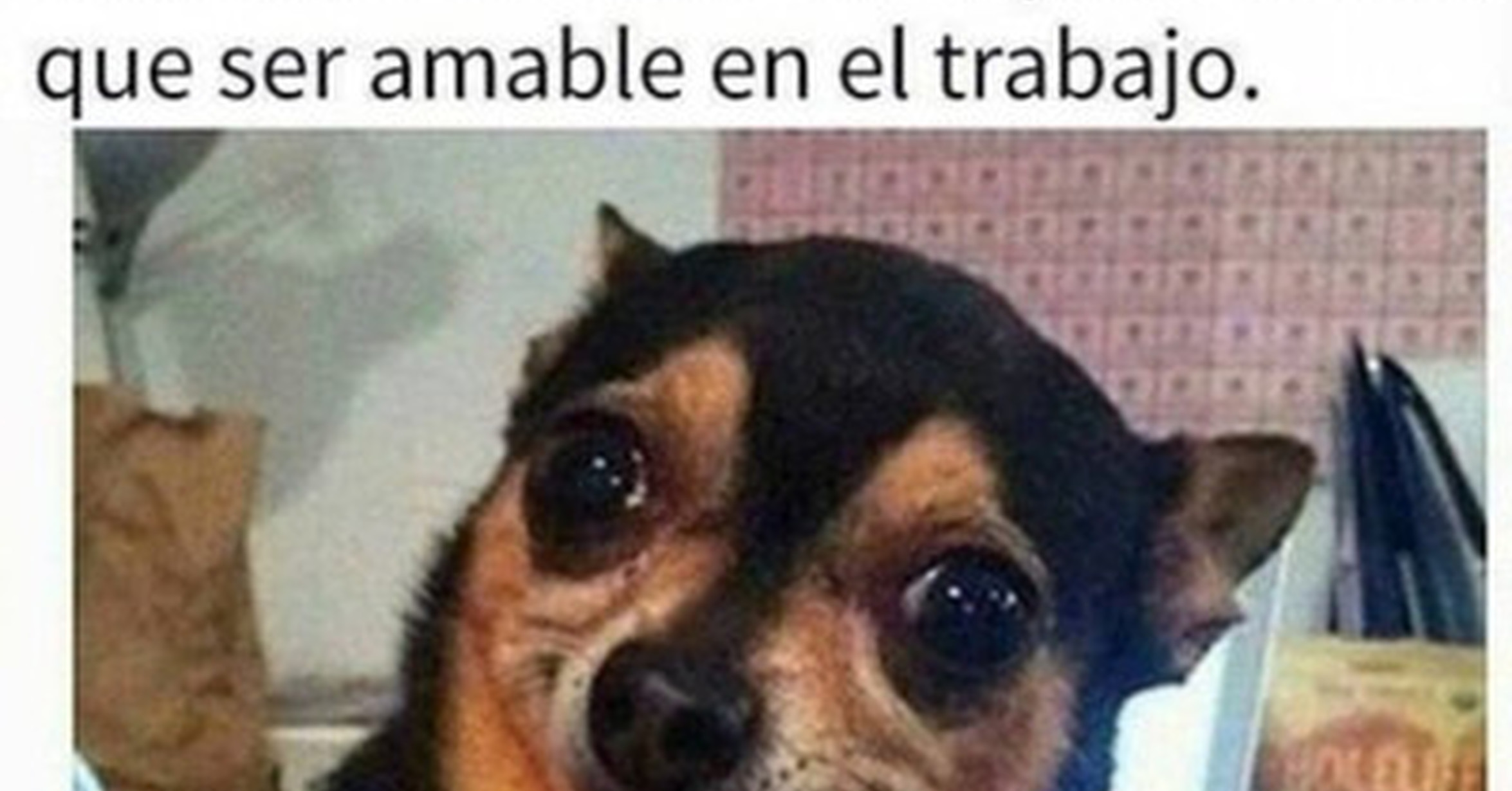 Coca Cola Siente El Sabor Pe La Veg Momos Corp Quiero Intentarlo Xdxddxd Dopl3rcom Memes Coca Col Siente El Sabor Pe La Vega Momos Corp Coca Cola Meme On Me Me