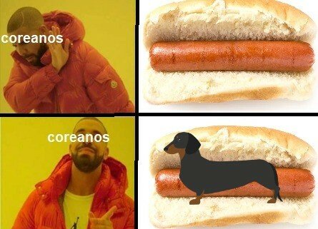 coreanos,drake,hotdog,meme,meme de drake,pancho,perrito calientes,perro caliente,perros