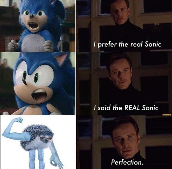 Meme_otros - El Sonic que todos amamos