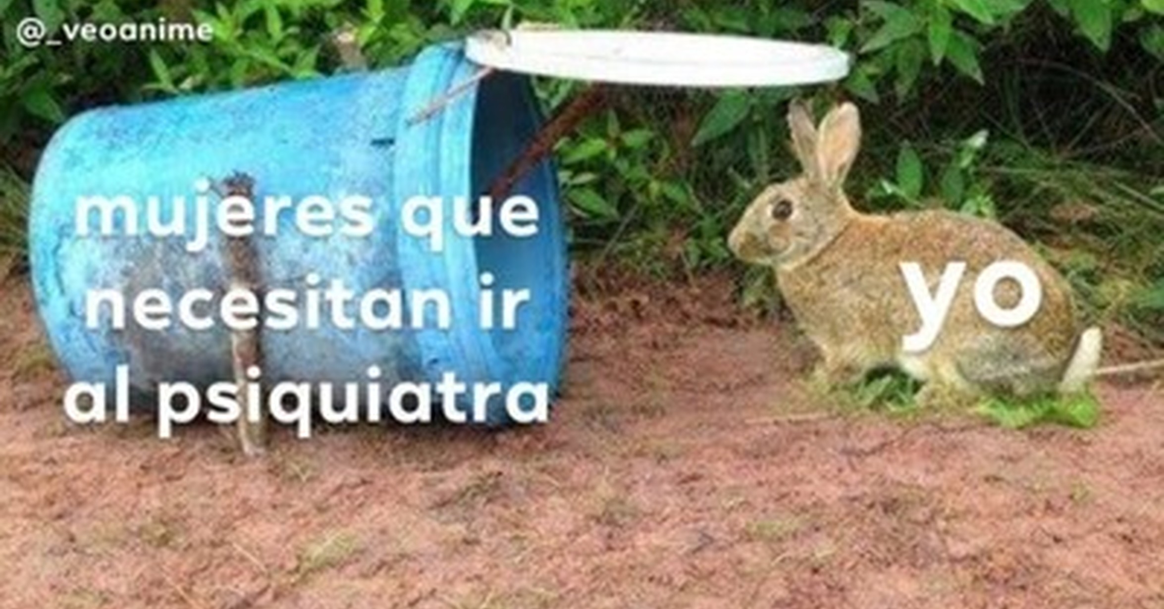 охота на беляка в узерку. ловим зайчика. ловим зайчика. заяц на участке. поймай зайца.