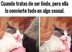 Enlace a Luego me echa en cara que no le hago cosas bonitas
