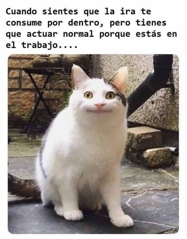 Meme_otros - Sobre todo para aquellos que trabajan de cara al público