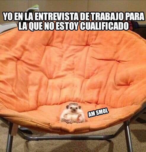 Meme_otros - Todo eran risas cuando mientes en el CV hasta que llega la entrevista