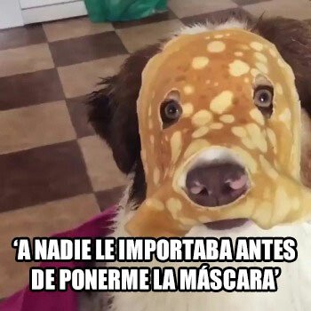 Meme_otros - Creperro