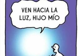 Enlace a Diosito trolaso