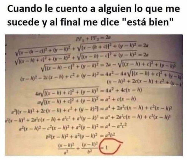 Meme_otros - Mi gato me presta más atención que la mayoría