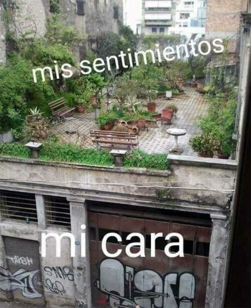 Meme_otros - Billete directo a la friendzone