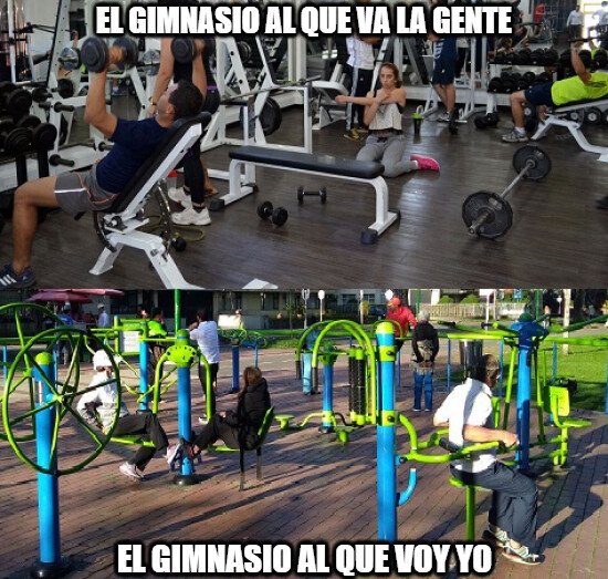 Meme_otros - Tipos de gimnasio, ¿a cuál vas tú? si es que vas a alguno, claro...