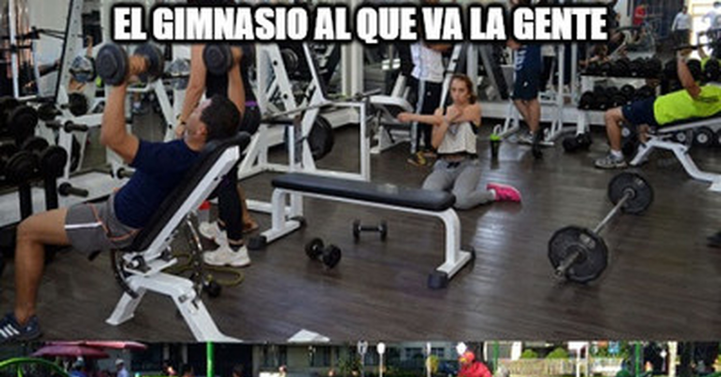 Cuanto Cabron Tipos De Gimnasio A Cual Vas Tu Si Es Que Vas A Alguno Claro