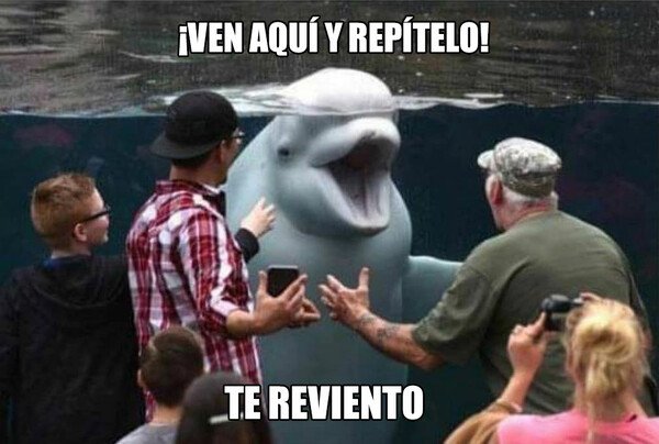 Meme_otros - Te reviento