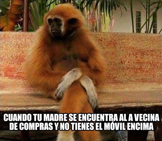 Meme_otros - Ya me toca esperar 3 siglos hasta llegar a casa 