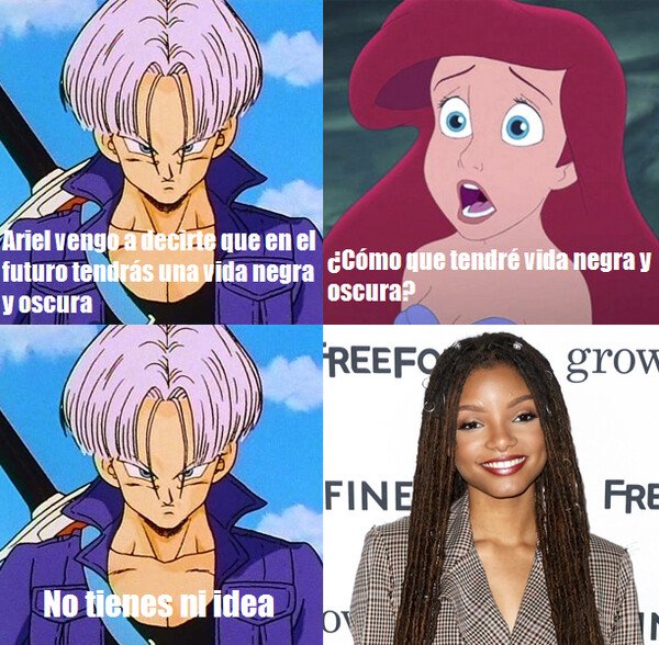 Meme_otros - El futuro negro de Ariel