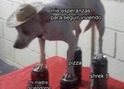 Enlace a Los pilares que sustentan mi vida