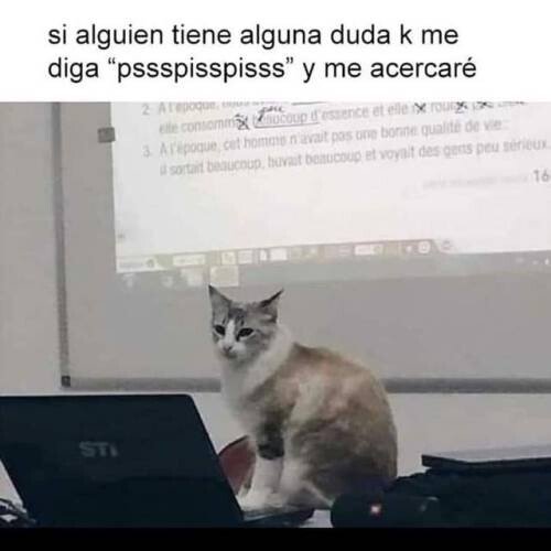 Meme_otros - El gato profesor
