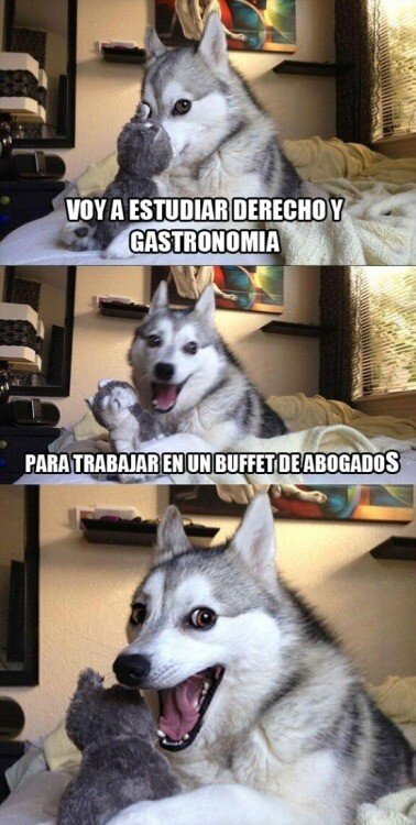 Meme_otros - ¡A ver qué ponen de comer esos picapleitos!