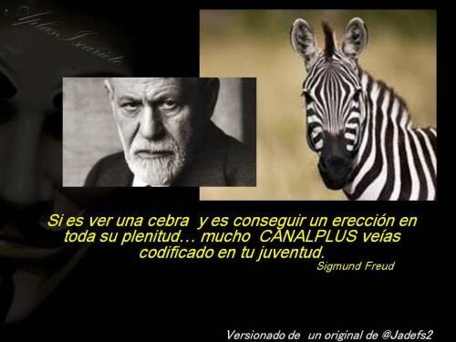 canal plus,cebra,Sigmund Freud