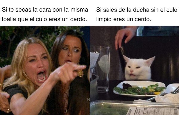 cara,culo,ducha,gato,toalla,woman yelling at a cat