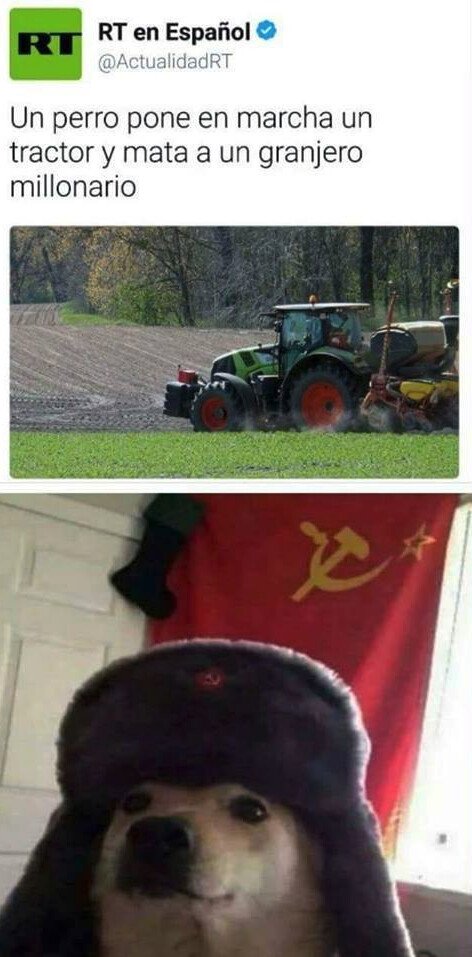 Memes Comunistas Posts Facebook