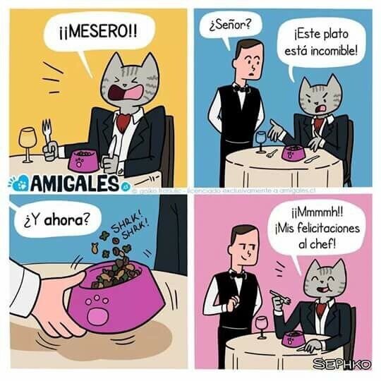 Meme_otros - Si los gatos fueran a restaurantes