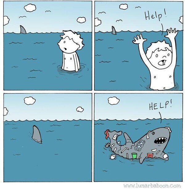 ayuda,contaminación,mar,tiburón