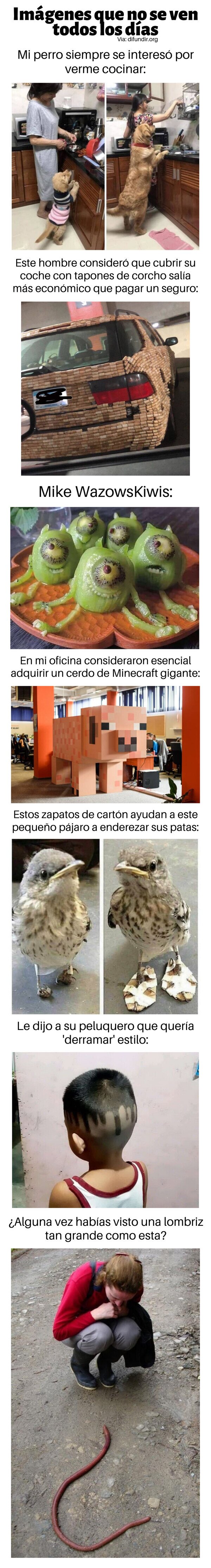 Meme_otros - Imágenes que no se ven todos los días