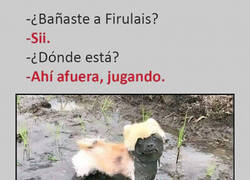 Enlace a La mitad de él sigue limpio