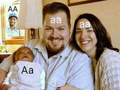 Mejor viñeta de hace un tiempo