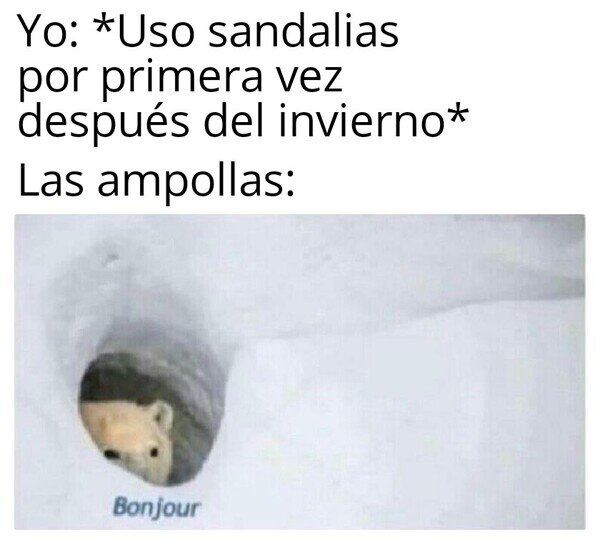 ampoya,bonjour,Oso,sandalias,verano